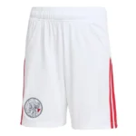 ajax amsterdam 2025 26 home jersey 101.webp