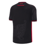 albania 2025 third jersey 101.png