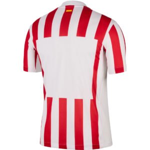 atletico madrid 2025 26 home jersey 101.jpg