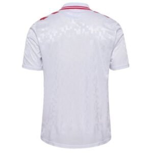 denmark 2024 away 1 01.jpg