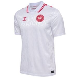 denmark 2024 away 1.jpg