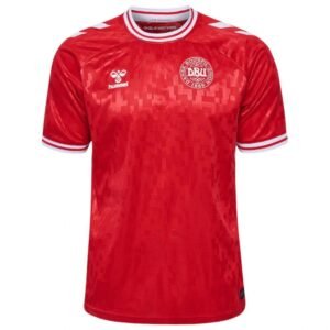 denmark 2024 home 1.jpg