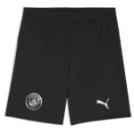 manchester city 2025 26 away long sleeve jersey 102.webp