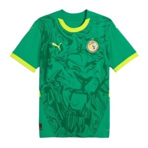senegal 2025 away jersey 100.jpg
