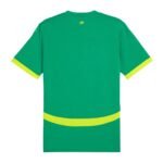 senegal 2025 away jersey 101.jpg