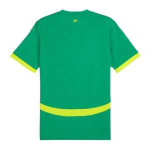 senegal 2025 away jersey 101.jpg
