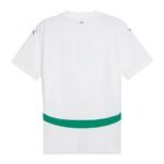 senegal 2025 home jersey 101.jpg