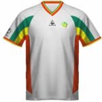senegal 2002 home retro 1 1.jpg