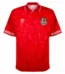 SportsWear Shop in Europe 287 wales 1991 home retro 1 1.webp