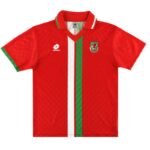 wales 1996 98 home retro 1 1.jpg