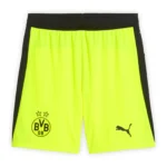 borussia dortmund away jersey, fan