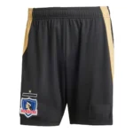 Colo Colo 2025-26 Away, Fan