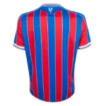 crystal palace home jersey fan webp