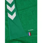 saint etienne as home jersey fan webp