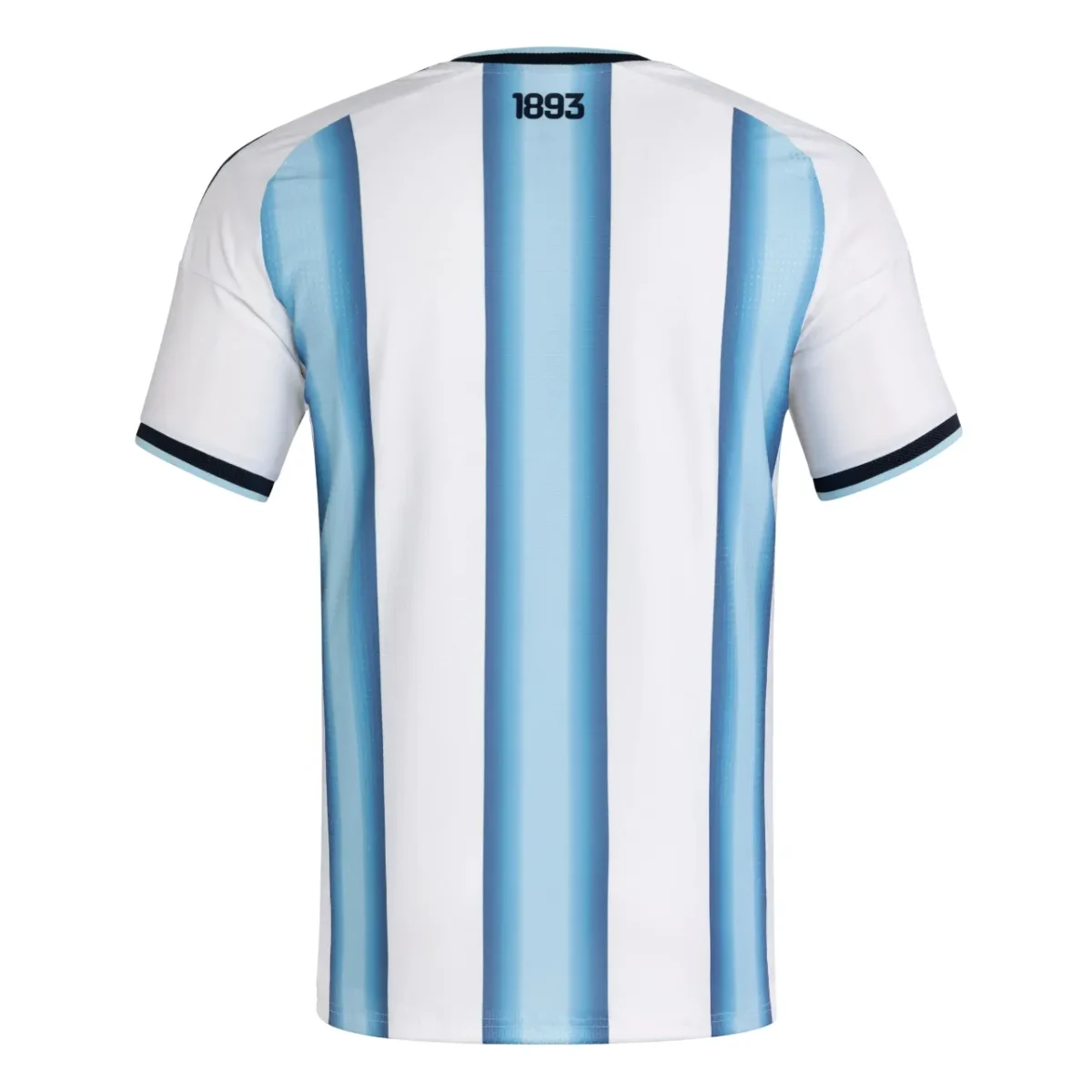 argentina home jersey fan