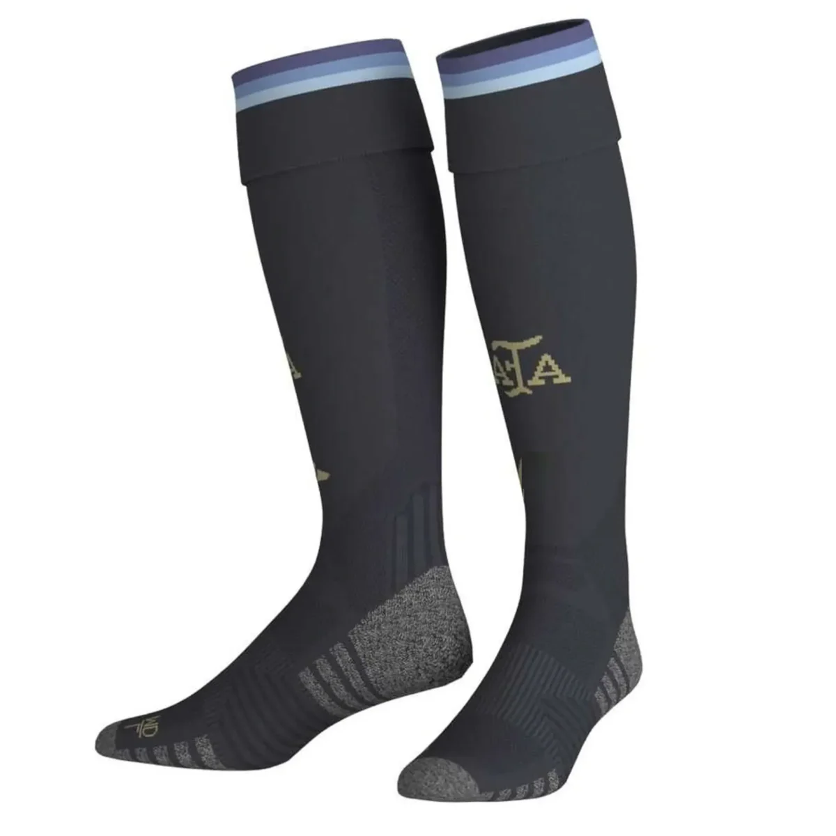 Argentina 2026 Home Jersey, Fan