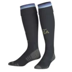 Argentina 2026 Home Jersey, Fan