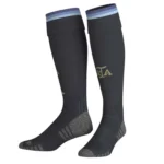 argentina home jersey game version