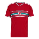 Wales 2026 Home Jersey, Fan
