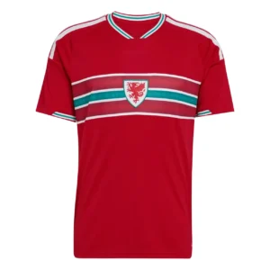 Wales 2026 Home Jersey, Fan