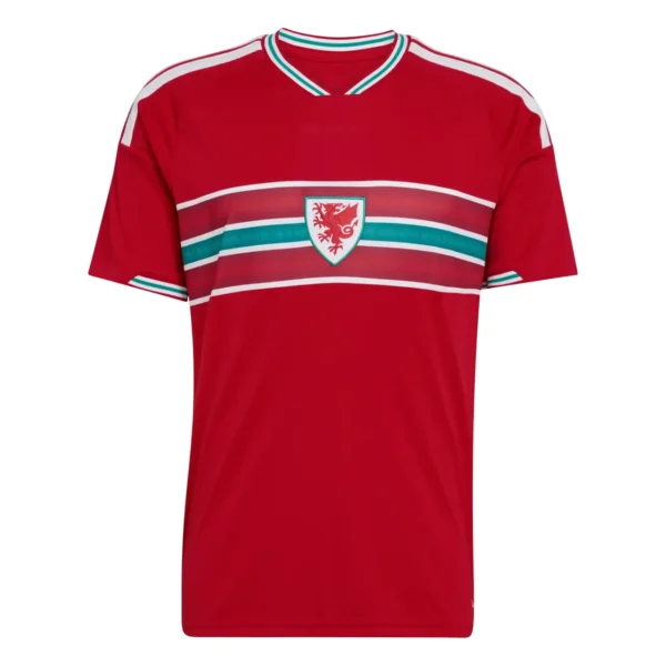 Wales 2026 Home Jersey, Fan