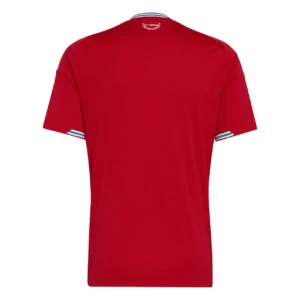 Wales 2026 Home Jersey, Fan