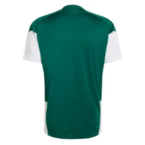 Italy 2026 Green White, Training Jersey