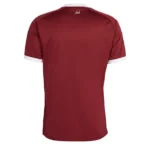 Qatar 2026 Home Jersey, Fan