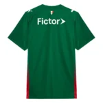 Palmeiras 2026 Home Jersey, Fan