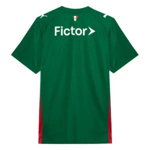 Palmeiras 2026 Home Jersey, Fan
