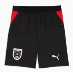 austria home jersey fan