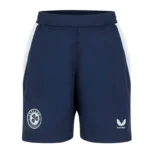 ireland away jersey fan