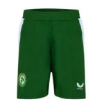 ireland home jersey fan