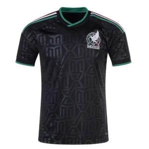 Mexico 2026 Third, Fan