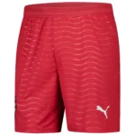 portugal home jersey long sleeve