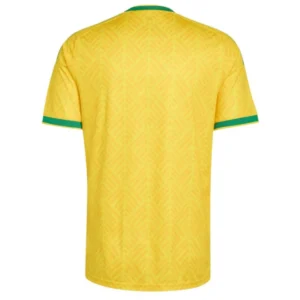 South Africa 2026 Home Jersey, Fan