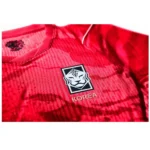 south korea home jersey fan