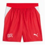 switzerland home jersey game version