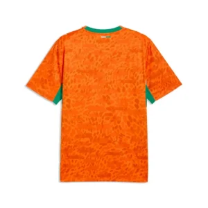Ivory Coast 2026 Home Jersey, Fan