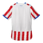 Paraguay 2026 Home Jersey, Fan