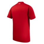 Turkey 2026 Home Jersey, Fan