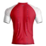 Haiti 2026 Third Jersey, Fan