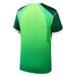 Nigeria 2026 Home Jersey, Fan