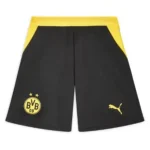 borussia dortmund home jersey fan webp