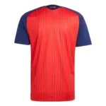 spain home stars jersey fan webp